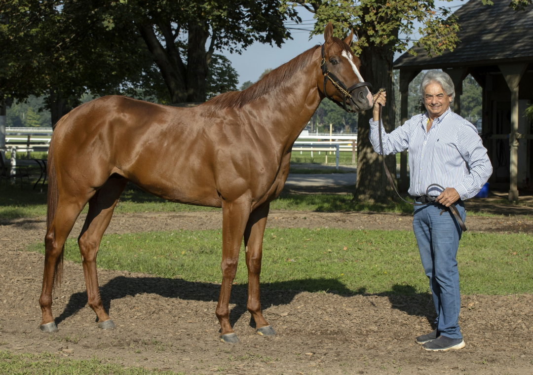 Kentucky Derby winner Mage will not run in Breeders' Cup Classic